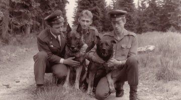 The history of the German Shepherd Dog