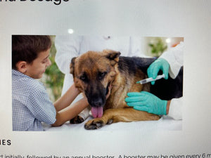 Vaccinations and your puppy