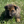 Load image into Gallery viewer, Athos