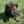 Load image into Gallery viewer, Atlas
