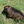 Load image into Gallery viewer, Atlas