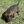 Load image into Gallery viewer, Atlas