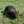 Load image into Gallery viewer, Ajax