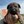 Load image into Gallery viewer, Ikon