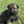 Load image into Gallery viewer, Ivetta