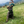 Load image into Gallery viewer, Ace
