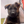 Load image into Gallery viewer, Ace