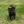 Load image into Gallery viewer, Ace