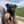 Load image into Gallery viewer, Ajax