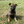 Load image into Gallery viewer, Ajax