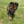 Load image into Gallery viewer, Atlas