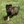 Load image into Gallery viewer, Atlas