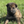Load image into Gallery viewer, Izzy