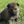 Load image into Gallery viewer, Izzy