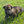 Load image into Gallery viewer, Ikon