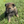 Load image into Gallery viewer, Ikon