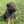 Load image into Gallery viewer, Ikon