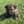 Load image into Gallery viewer, Ikon