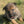 Load image into Gallery viewer, Bea