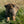 Load image into Gallery viewer, Bea