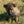 Load image into Gallery viewer, Bea