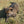 Load image into Gallery viewer, Brody