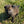 Load image into Gallery viewer, Brody