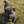 Load image into Gallery viewer, Brody