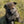 Load image into Gallery viewer, Brody