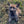 Load image into Gallery viewer, Brody