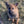 Load image into Gallery viewer, Bea