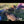 Load and play video in Gallery viewer, Brody