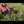 Load and play video in Gallery viewer, Brody