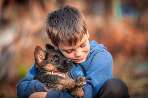 Bringing Home Your New Puppy