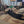 Load image into Gallery viewer, Reba
