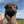 Load image into Gallery viewer, Ischa
