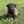 Load image into Gallery viewer, Ischa
