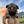 Load image into Gallery viewer, Iris
