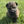 Load image into Gallery viewer, Ice
