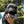 Load image into Gallery viewer, Kenya
