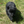 Load image into Gallery viewer, Kenya
