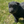 Load image into Gallery viewer, Kenya
