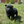 Load image into Gallery viewer, Kenya

