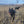 Load image into Gallery viewer, Reba
