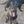 Load image into Gallery viewer, Freya
