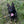 Load image into Gallery viewer, Freya
