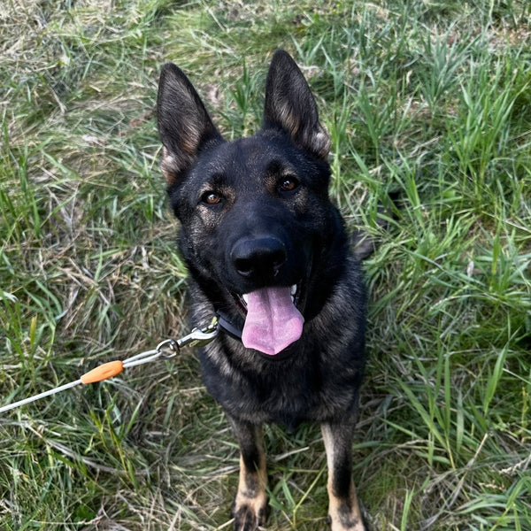 Freya
