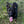 Load image into Gallery viewer, Freya
