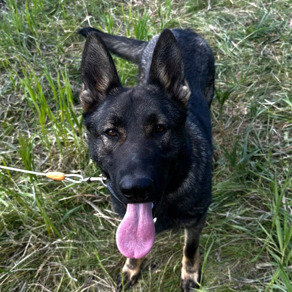 Freya