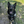 Load image into Gallery viewer, Thor Vom Haus BVR
